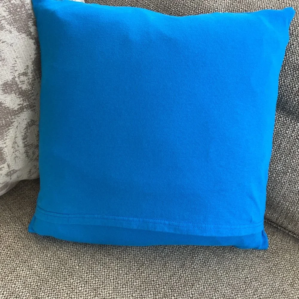 Carolina Panthers NFL Football upcycled T-shirt 16x16 throw pillow cover